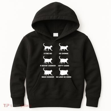 Funny Gift Cats Meme Chonk Cat Chart Kids Hoodie