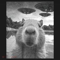 Funny Graphic Capybara Selfie With Ufos Weird Coaster thumb 2