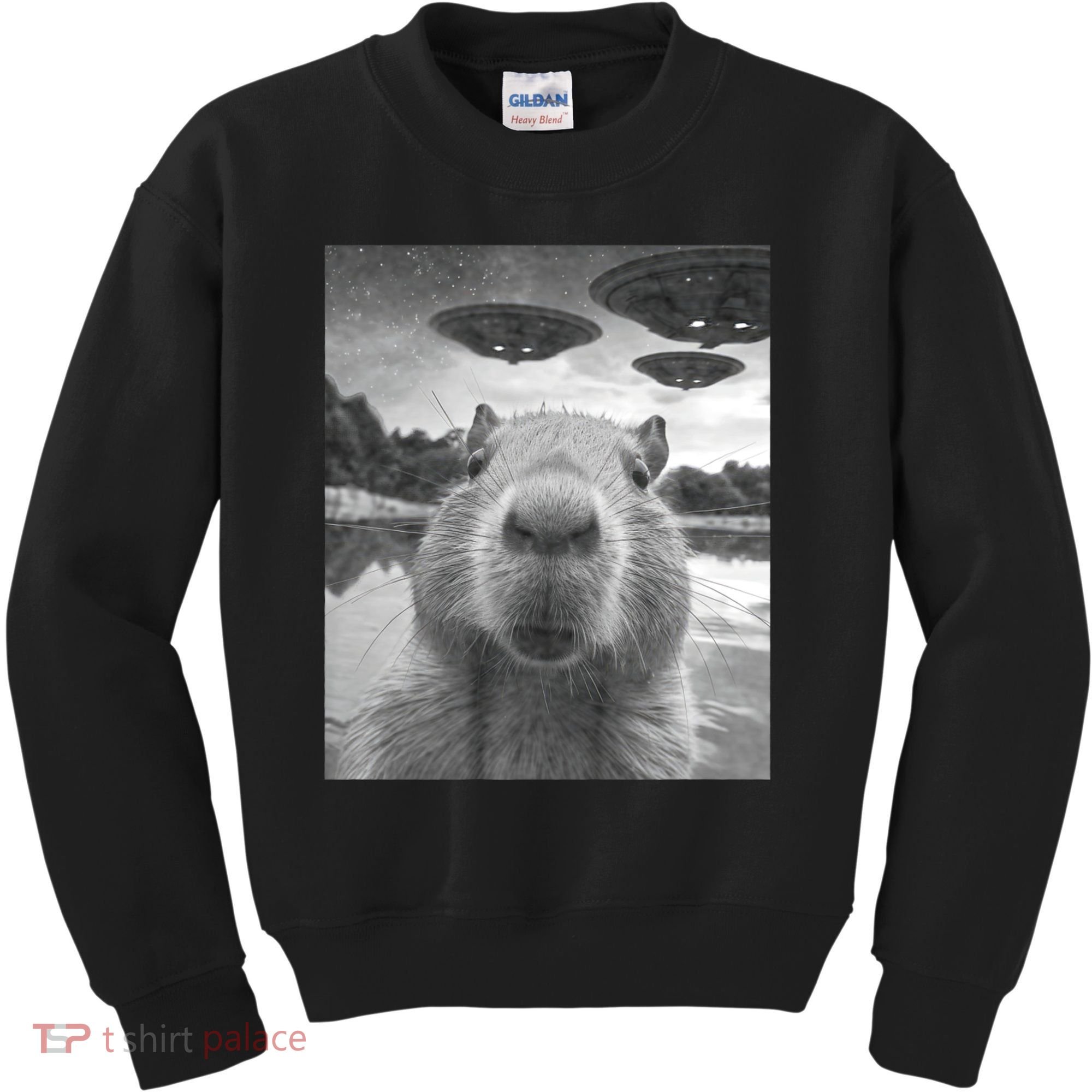 Funny Graphic Capybara Selfie With Ufos Weird Kids Sweatshirt