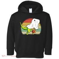 Funny Ghost Dinosaur Halloween Graphic Toddler Hoodie thumb 0