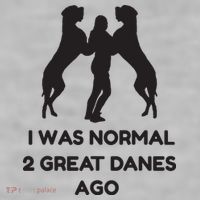 Funny Great Dane Shirts Woman I Was Normal 2 Great Danes Ago Ladies PosiCharge Tri-Blend Wicking Tank thumb 2