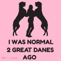 Funny Great Dane Shirts Woman I Was Normal 2 Great Danes Ago Coaster thumb 2