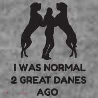 Funny Great Dane Shirts Woman I Was Normal 2 Great Danes Ago Toddler Hoodie thumb 2