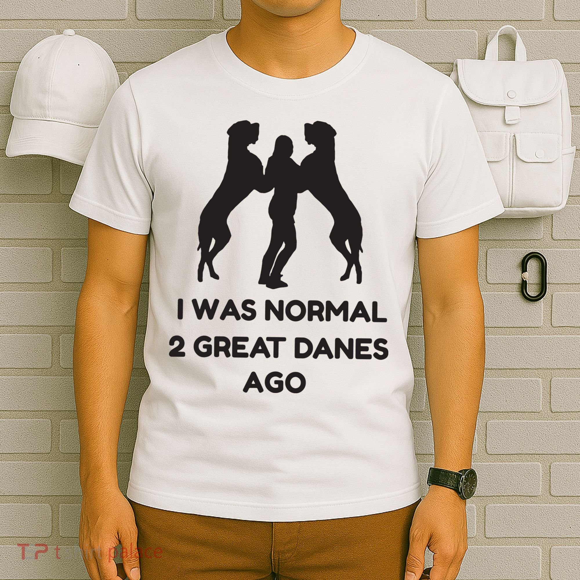Funny Great Dane Shirts Woman I Was Normal 2 Great Danes Ago T-Shirt