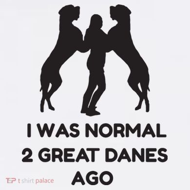 Funny Great Dane Shirts Woman I Was Normal 2 Great Danes Ago Button