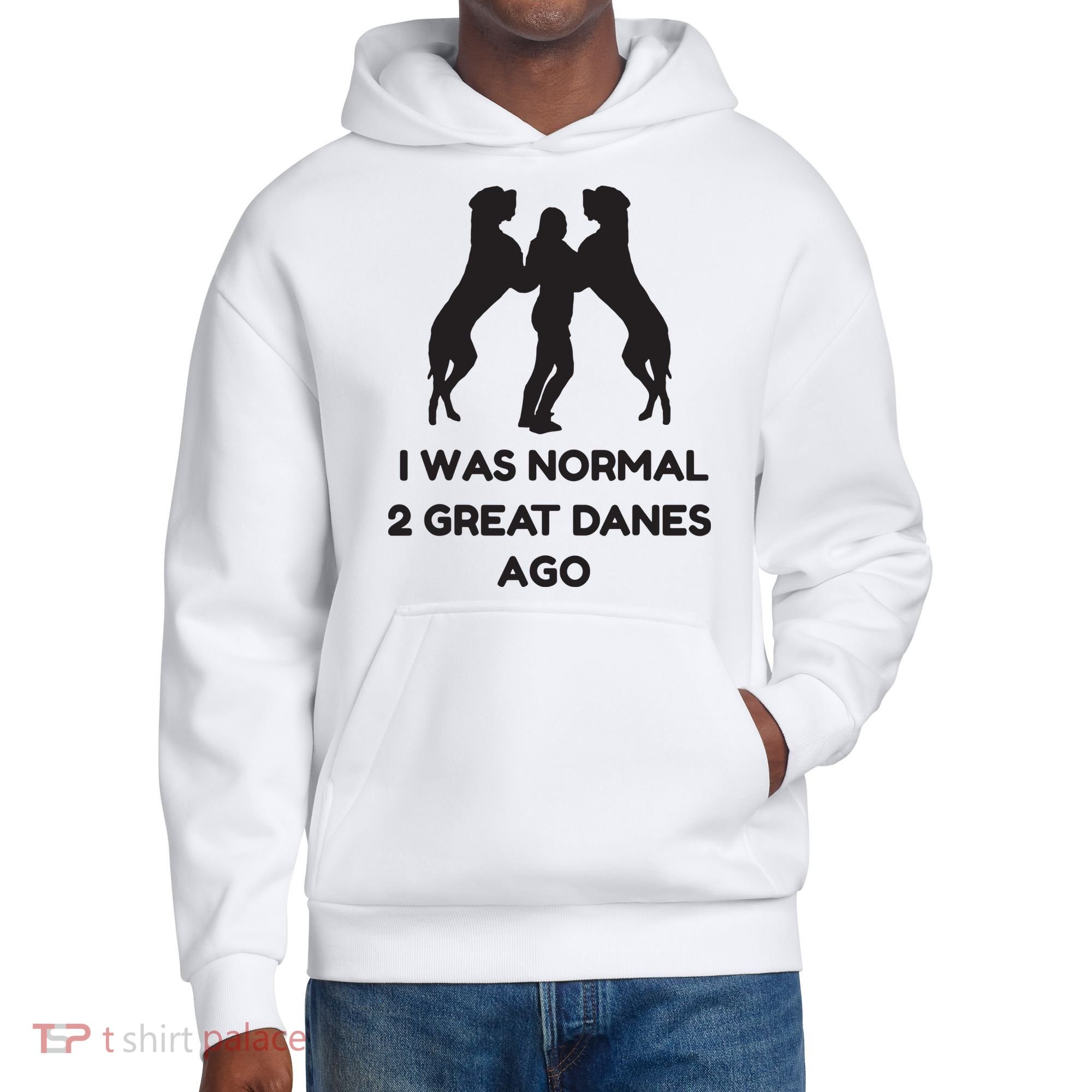 Funny Great Dane Shirts Woman I Was Normal 2 Great Danes Ago District V.I.T. Heavyweight Hoodie