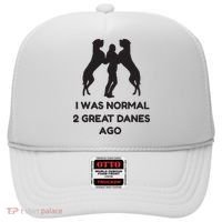 Funny Great Dane Shirts Woman I Was Normal 2 Great Danes Ago Hat thumb 0