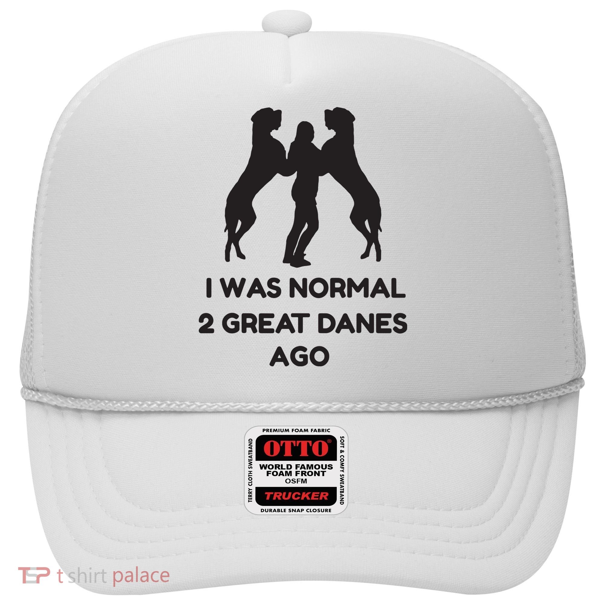 Funny Great Dane Shirts Woman I Was Normal 2 Great Danes Ago Hat