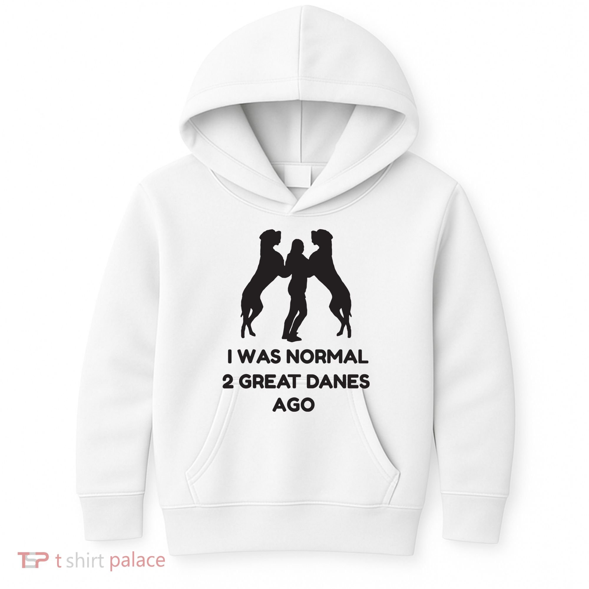 Funny Great Dane Shirts Woman I Was Normal 2 Great Danes Ago Kids Hoodie