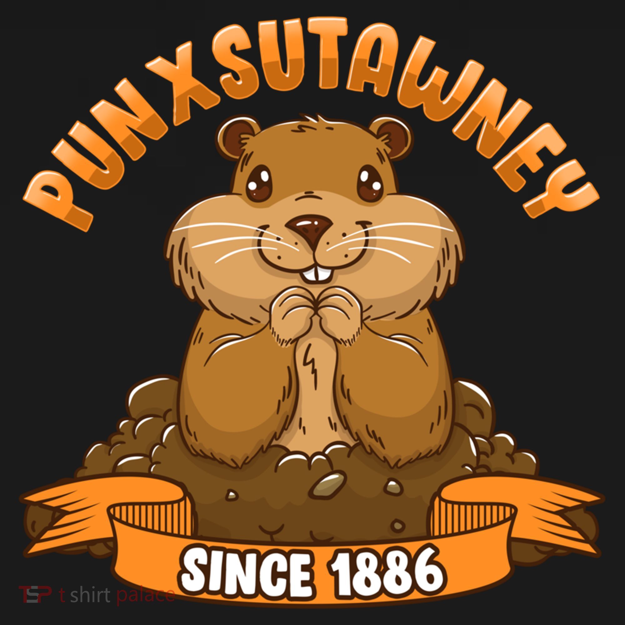 Funny Groundhog Day Phil Cute Ground Hog Punxsutawney Gift Women's Hoodie