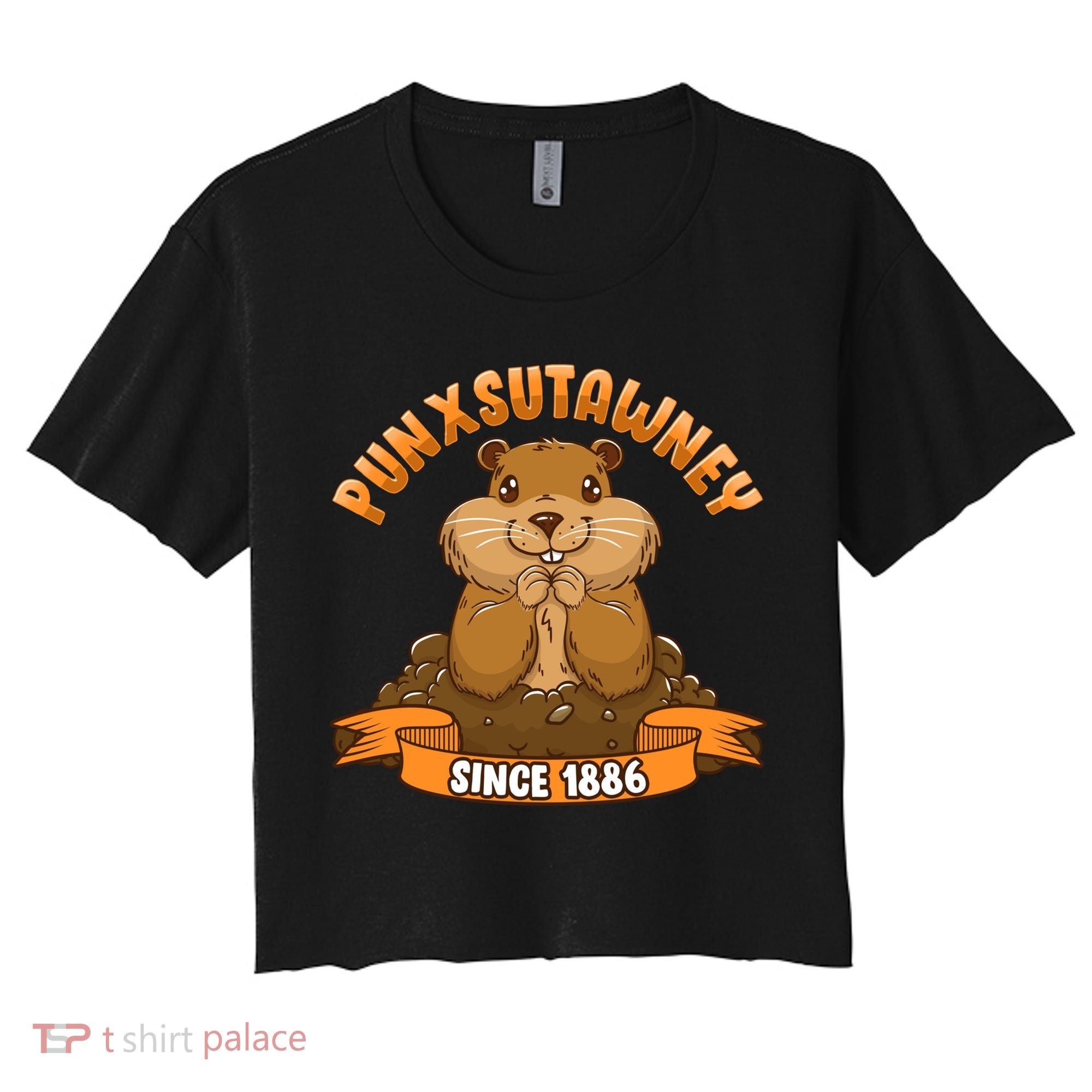 Funny Groundhog Day Phil Cute Ground Hog Punxsutawney Gift Women's Crop Top Tee