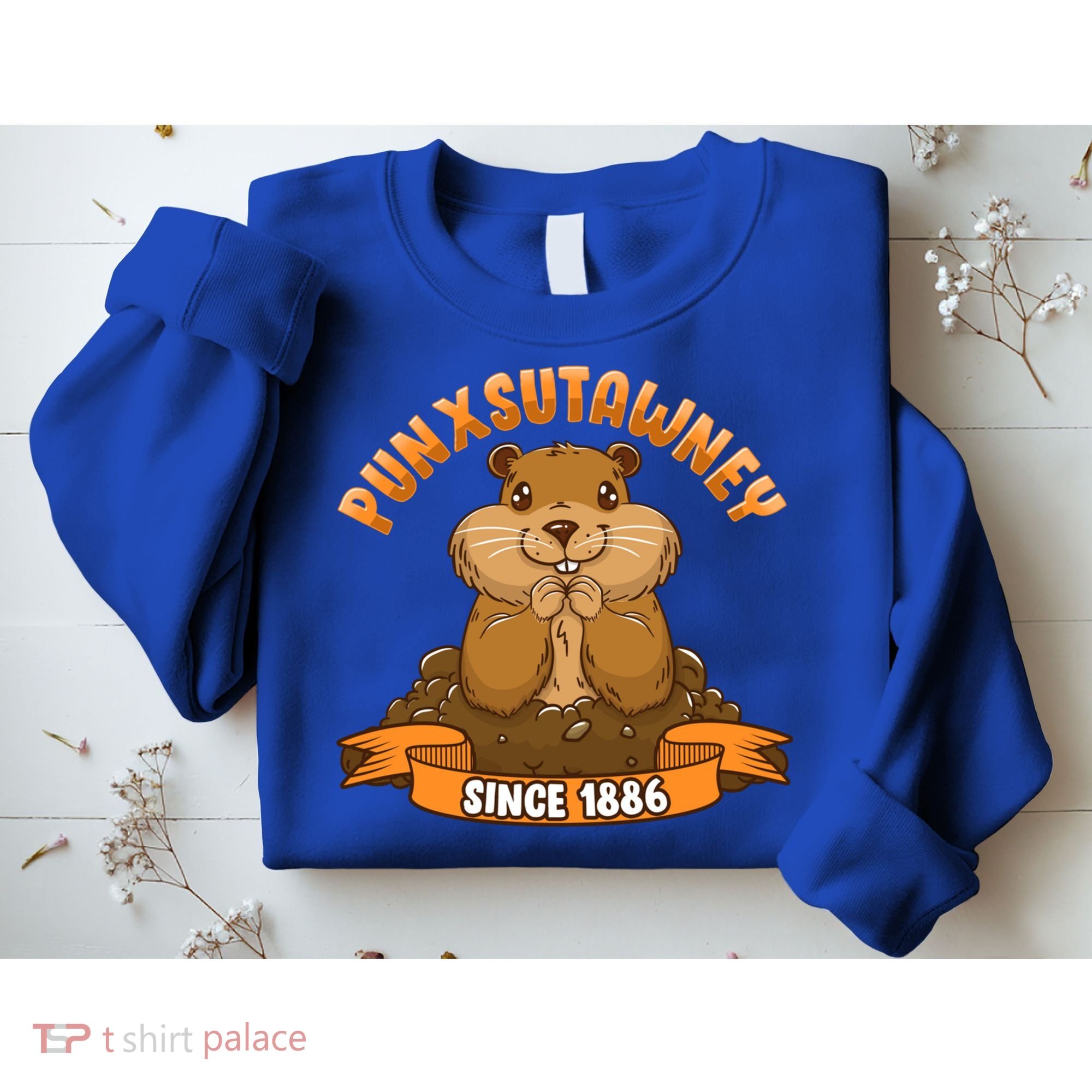 Funny Groundhog Day Phil Cute Ground Hog Punxsutawney Gift Sweatshirt