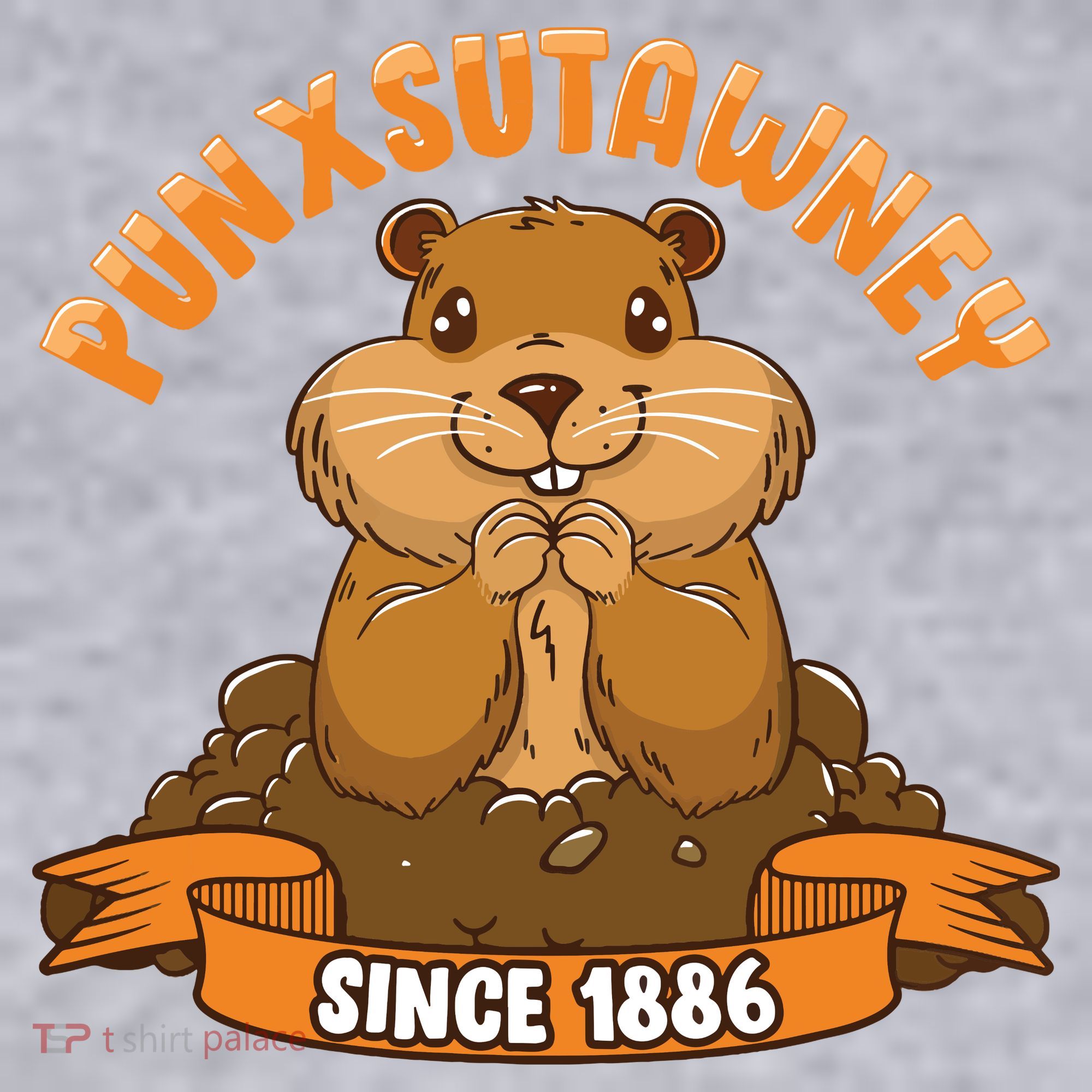 Funny Groundhog Day Phil Cute Ground Hog Punxsutawney Women's Racerback Cropped Tank