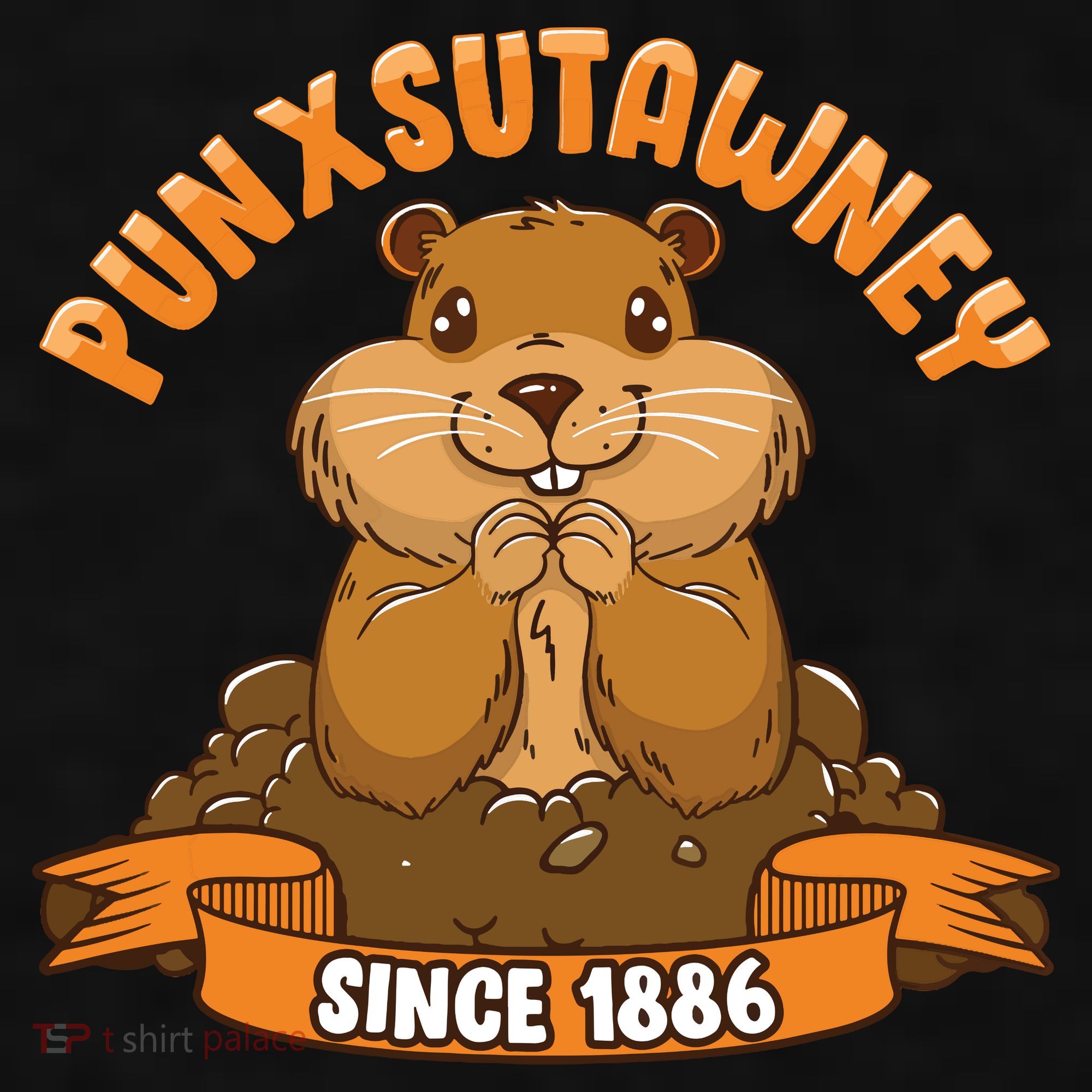 Funny Groundhog Day Phil Cute Ground Hog Punxsutawney Ladies PosiCharge Tri-Blend Wicking Tank