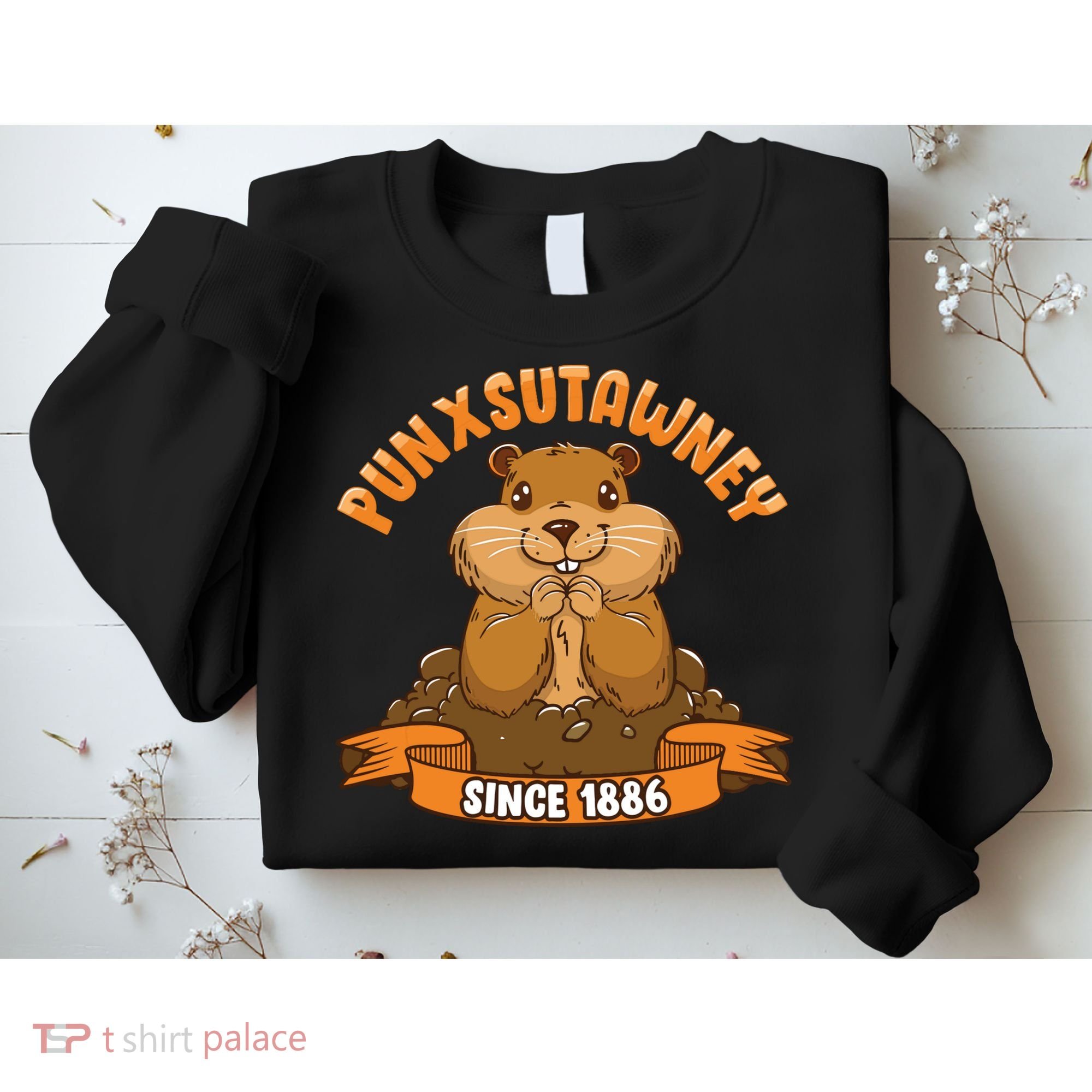 Funny Groundhog Day Phil Cute Ground Hog Punxsutawney Sweatshirt
