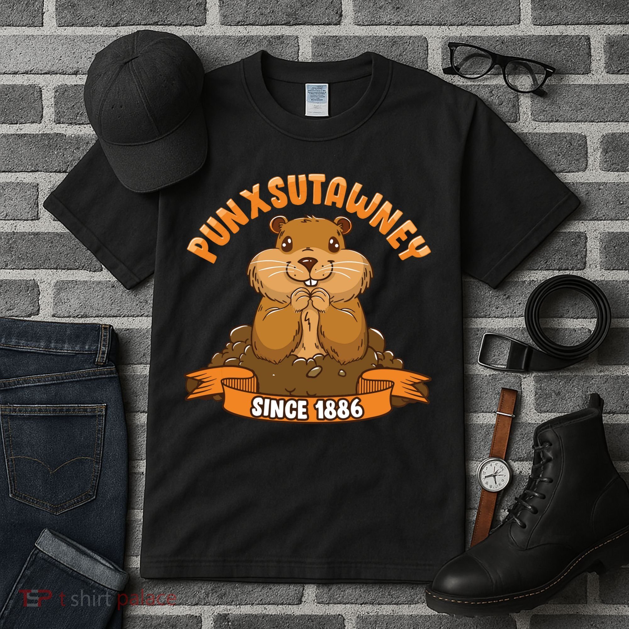 Funny Groundhog Day Phil Cute Ground Hog Punxsutawney Tall T-Shirt