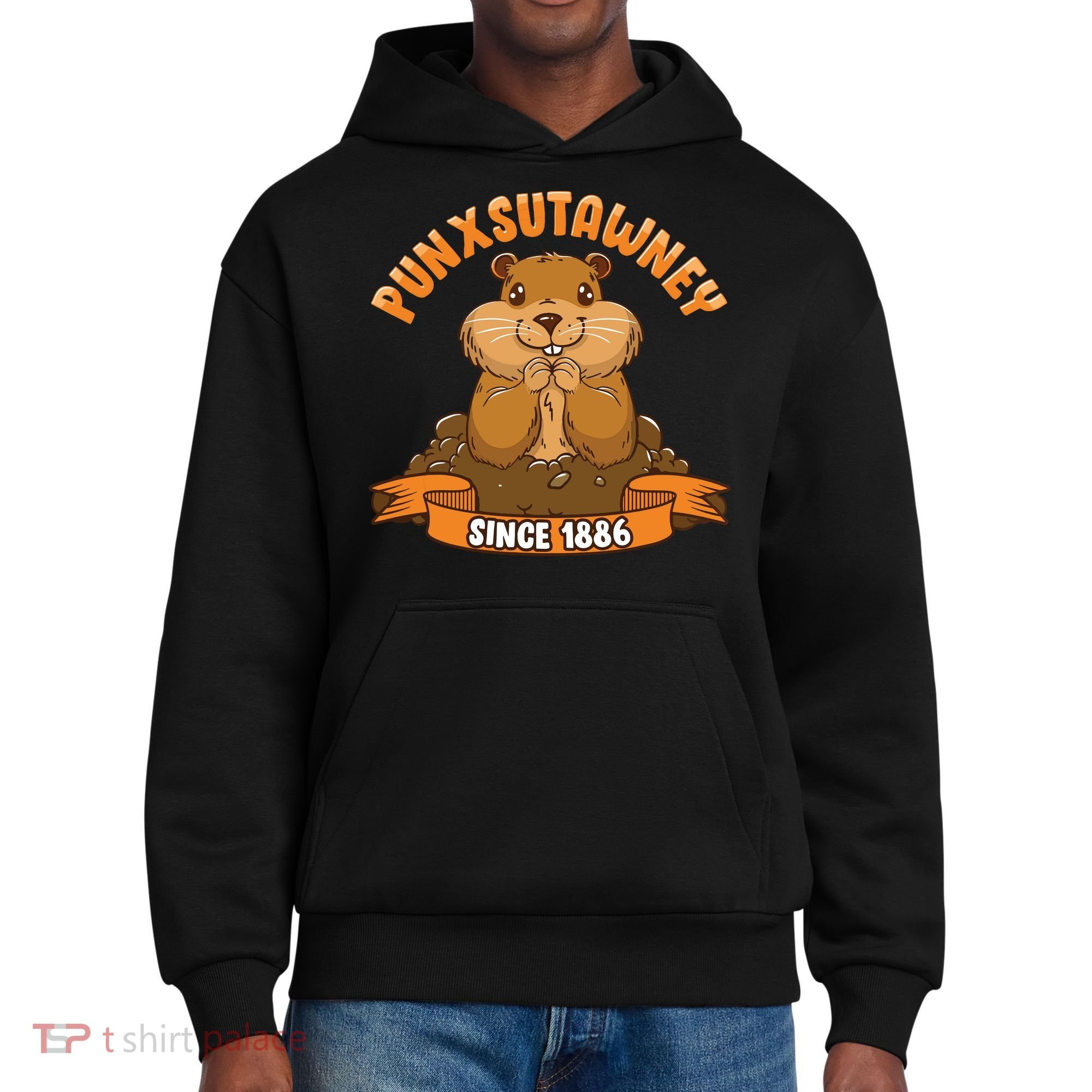 Funny Groundhog Day Phil Cute Ground Hog Punxsutawney District V.I.T. Heavyweight Hoodie
