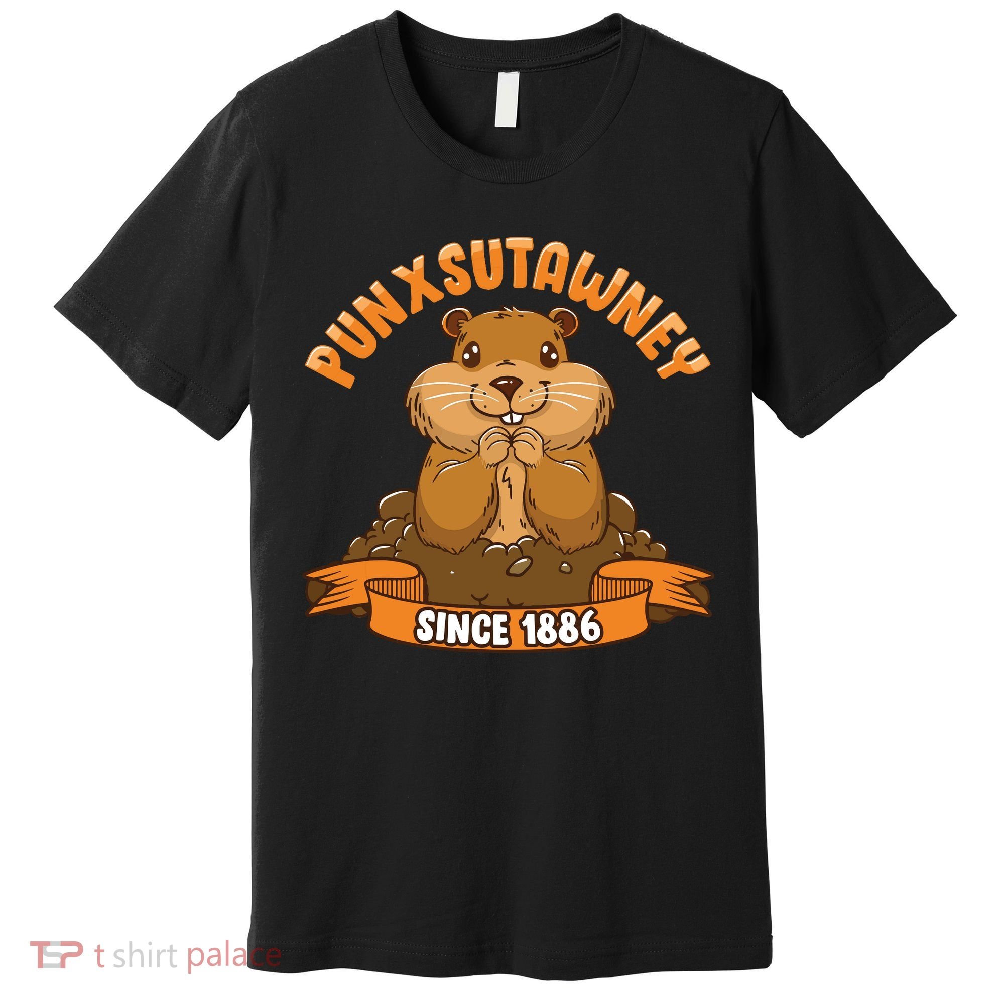 Funny Groundhog Day Phil Cute Ground Hog Punxsutawney Premium T-Shirt