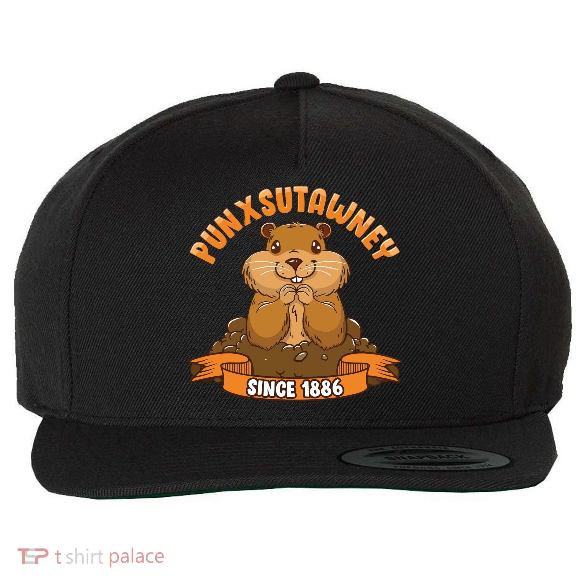 Funny Groundhog Day Phil Cute Ground Hog Punxsutawney Wool Snapback Cap