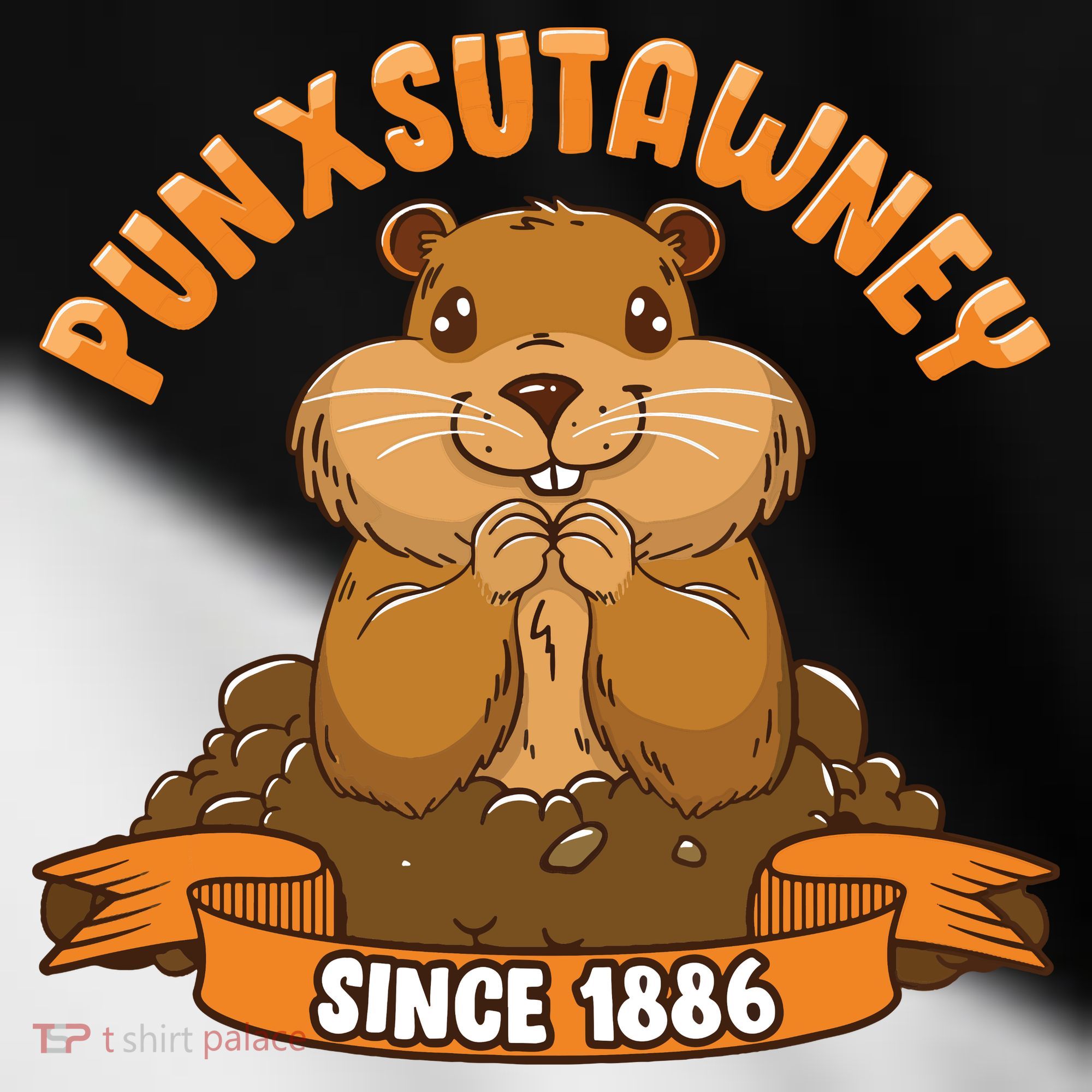 Funny Groundhog Day Phil Cute Ground Hog Punxsutawney Toddler Fine Jersey T-Shirt