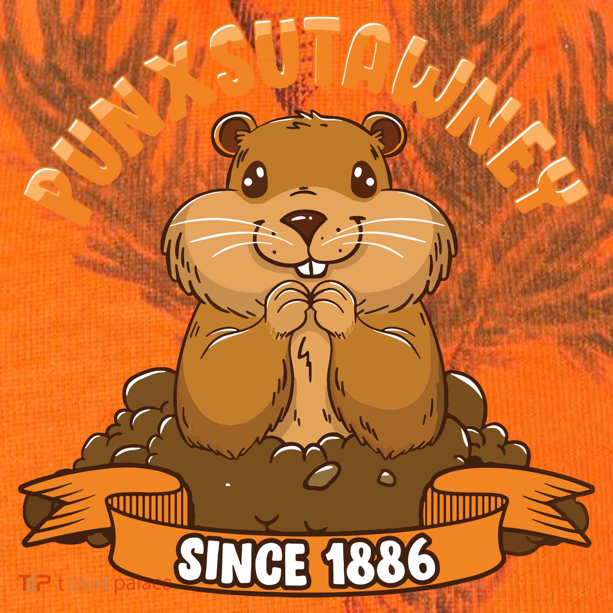 Funny Groundhog Day Phil Cute Ground Hog Punxsutawney Kati Licensed 12" Camo Cuffed Beanie