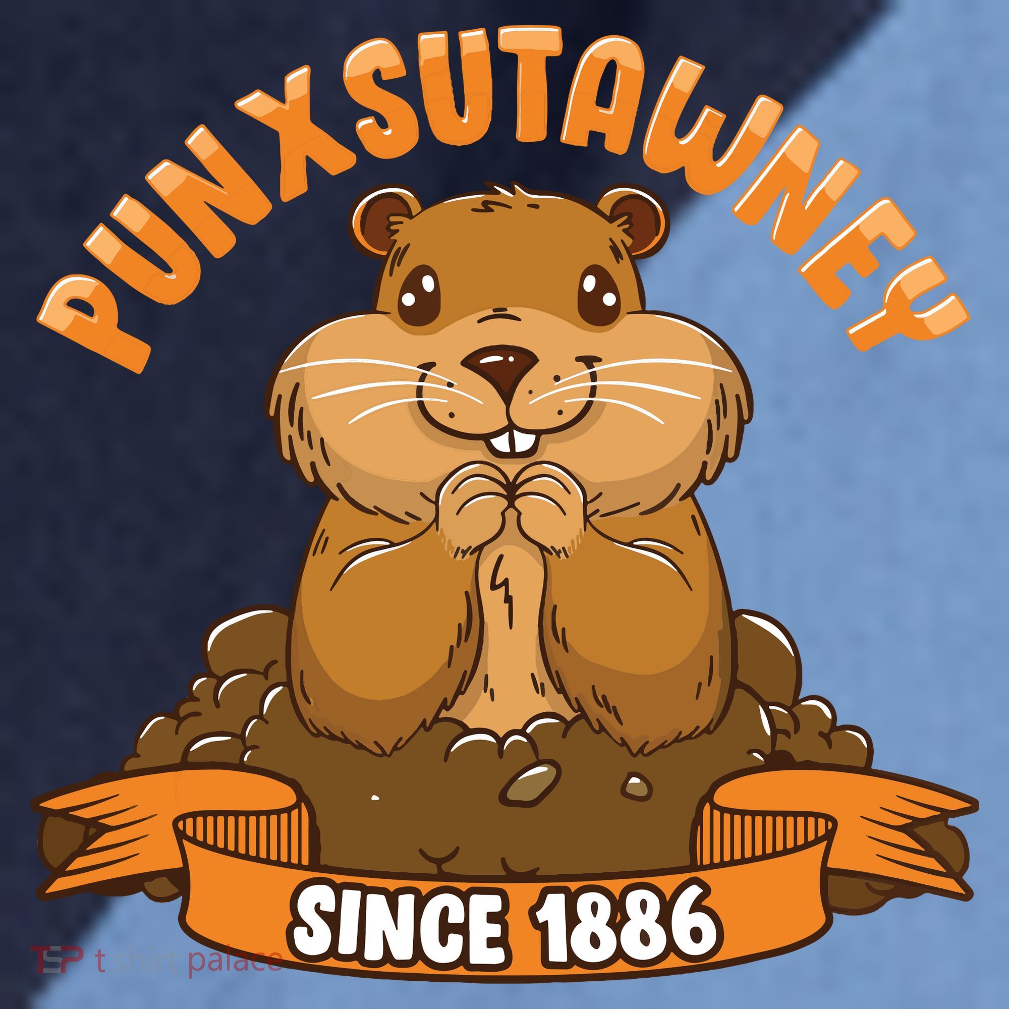 Funny Groundhog Day Phil Cute Ground Hog Punxsutawney Raglan Baseball Sleeve Shirt