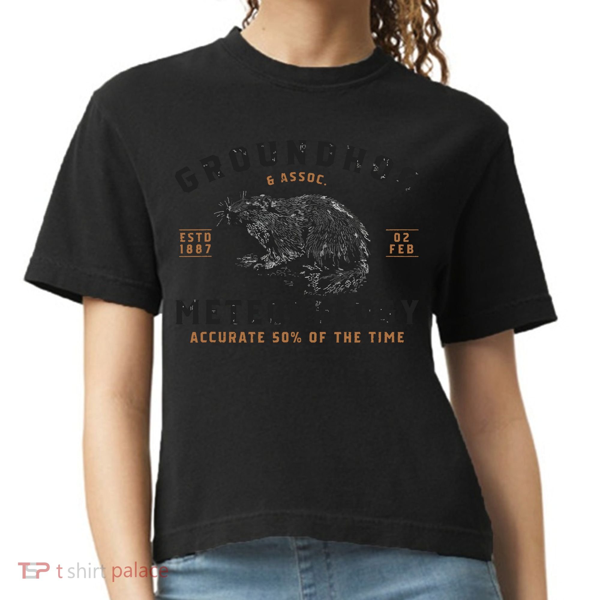Funny Groundhog Day Shirts Groundhog Meteorology Comfort Colors Boxy T-Shirt