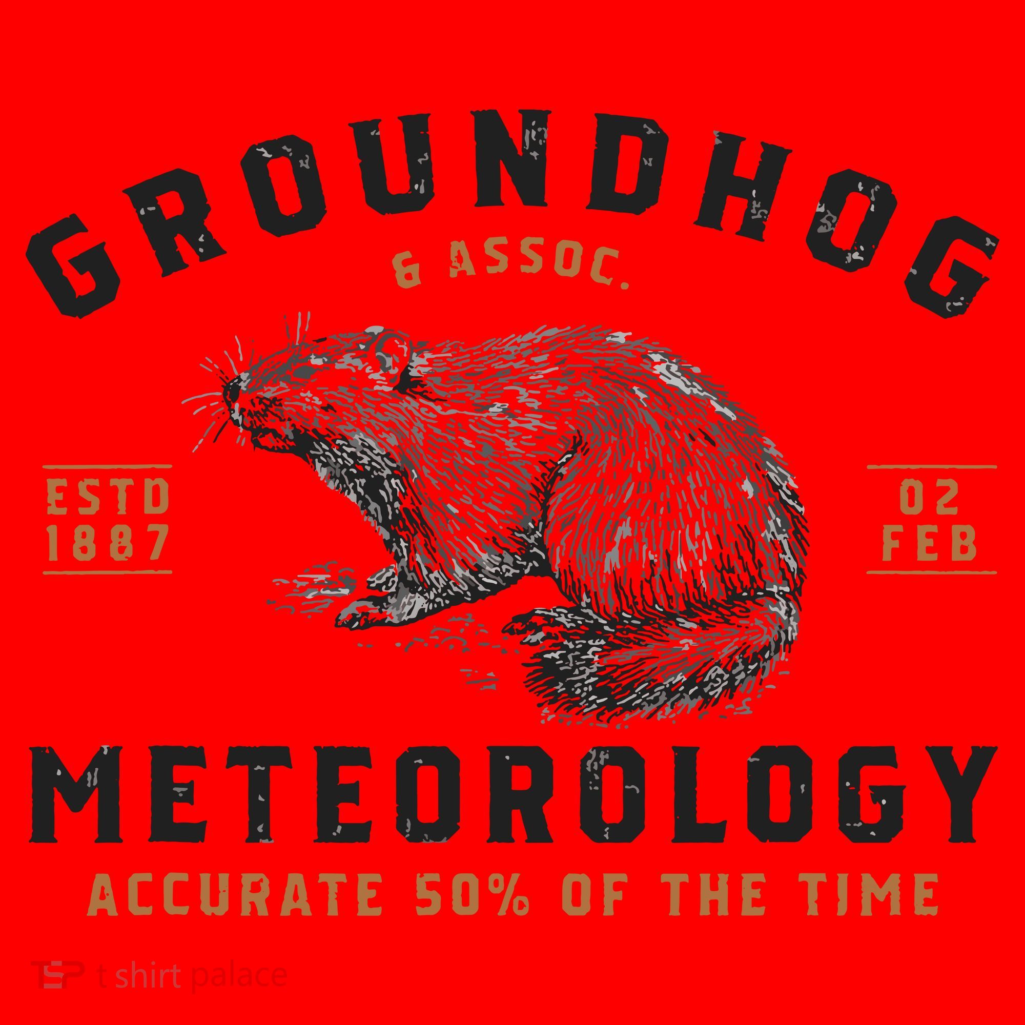Funny Groundhog Day Shirts Groundhog Meteorology Santa Hat