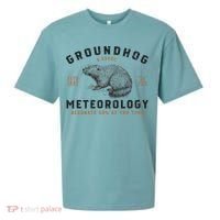 Funny Groundhog Day Shirts Groundhog Meteorology Sueded Cloud Jersey T-Shirt thumb 0
