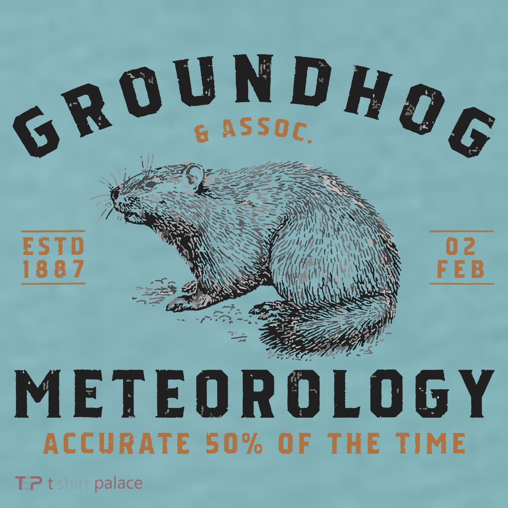 Funny Groundhog Day Shirts Groundhog Meteorology Sueded Cloud Jersey T-Shirt