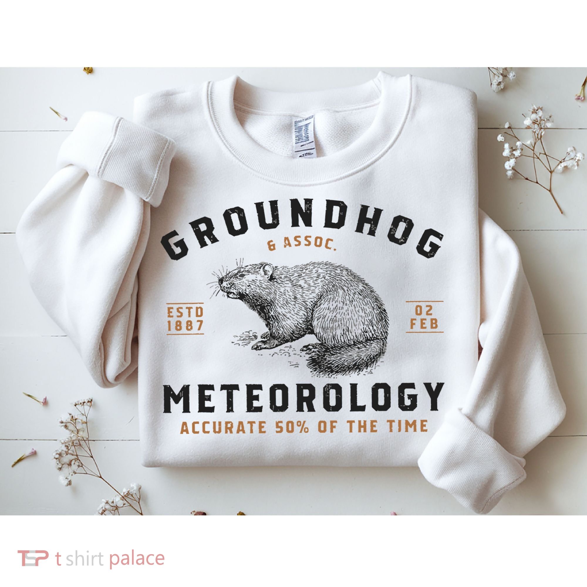 Funny Groundhog Day Shirts Groundhog Meteorology Sweatshirt