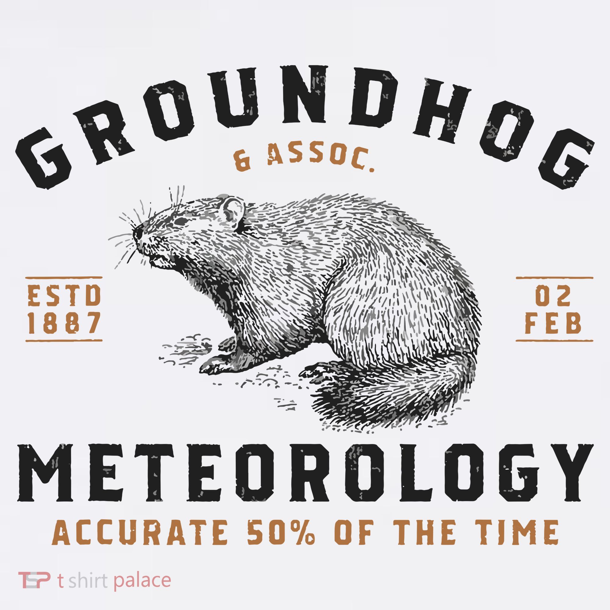 Funny Groundhog Day Shirts Groundhog Meteorology Women's Hoodie