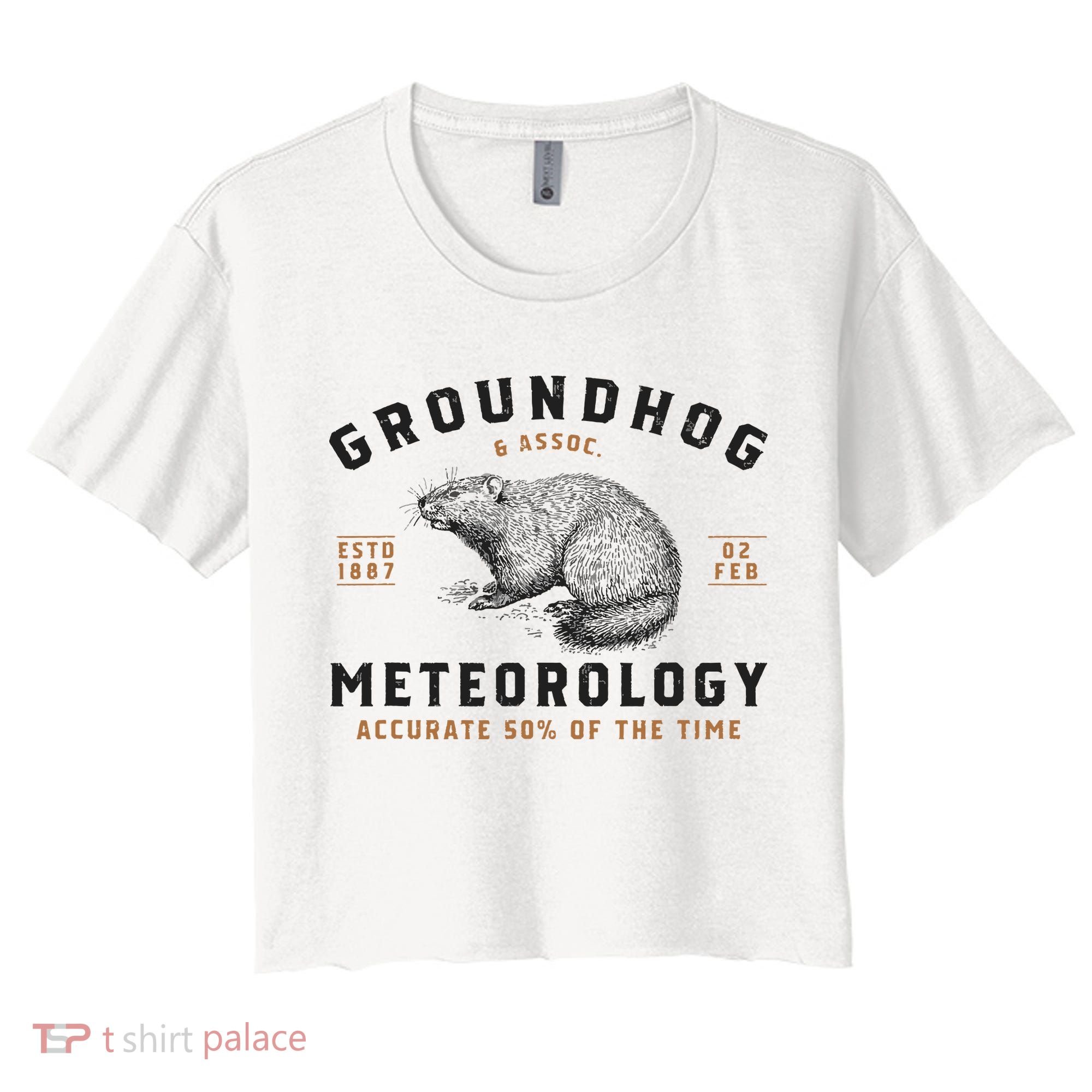 Funny Groundhog Day Shirts Groundhog Meteorology Women's Crop Top Tee
