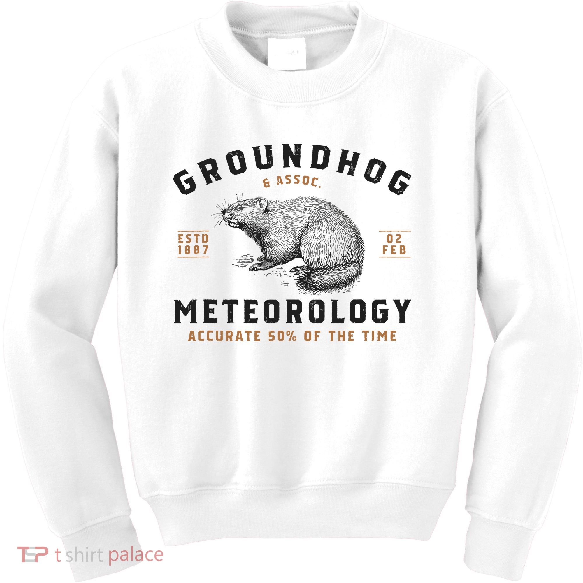 Funny Groundhog Day Shirts Groundhog Meteorology Kids Sweatshirt