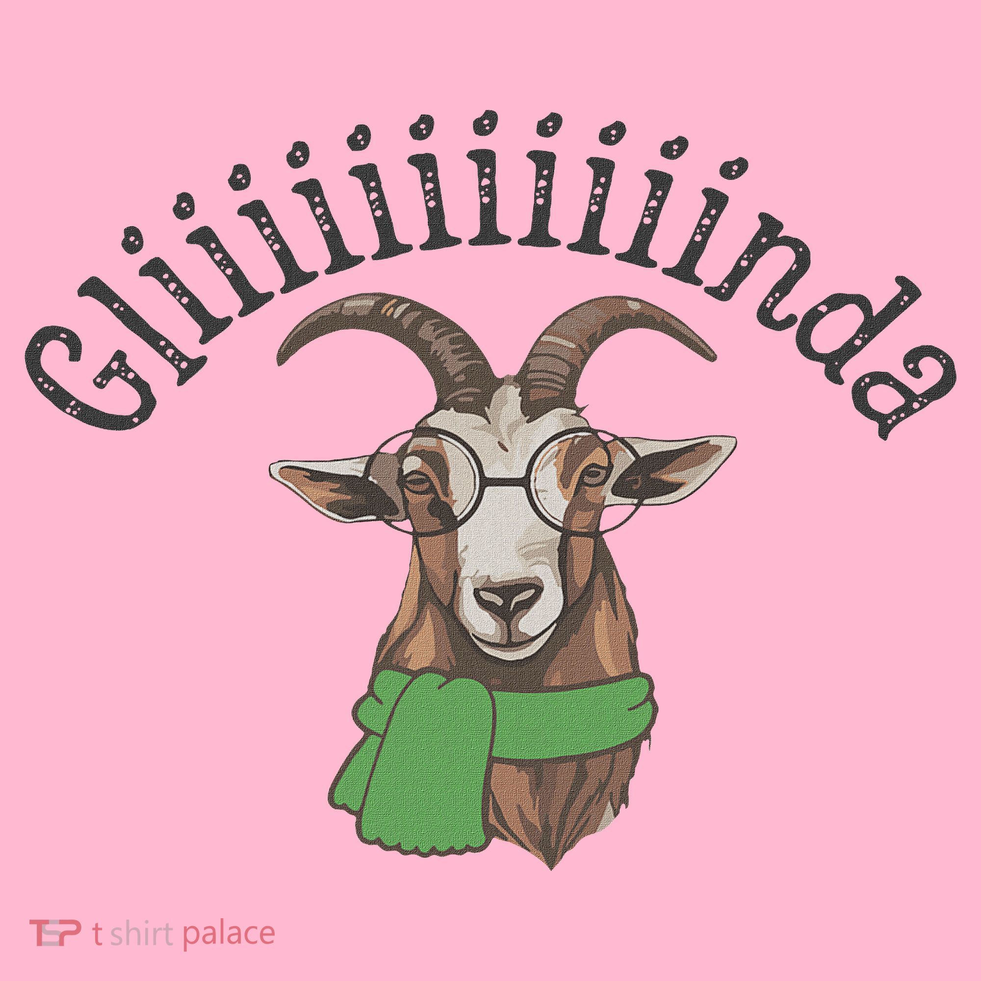 Funny Goat Dr. Dillamond Coaster