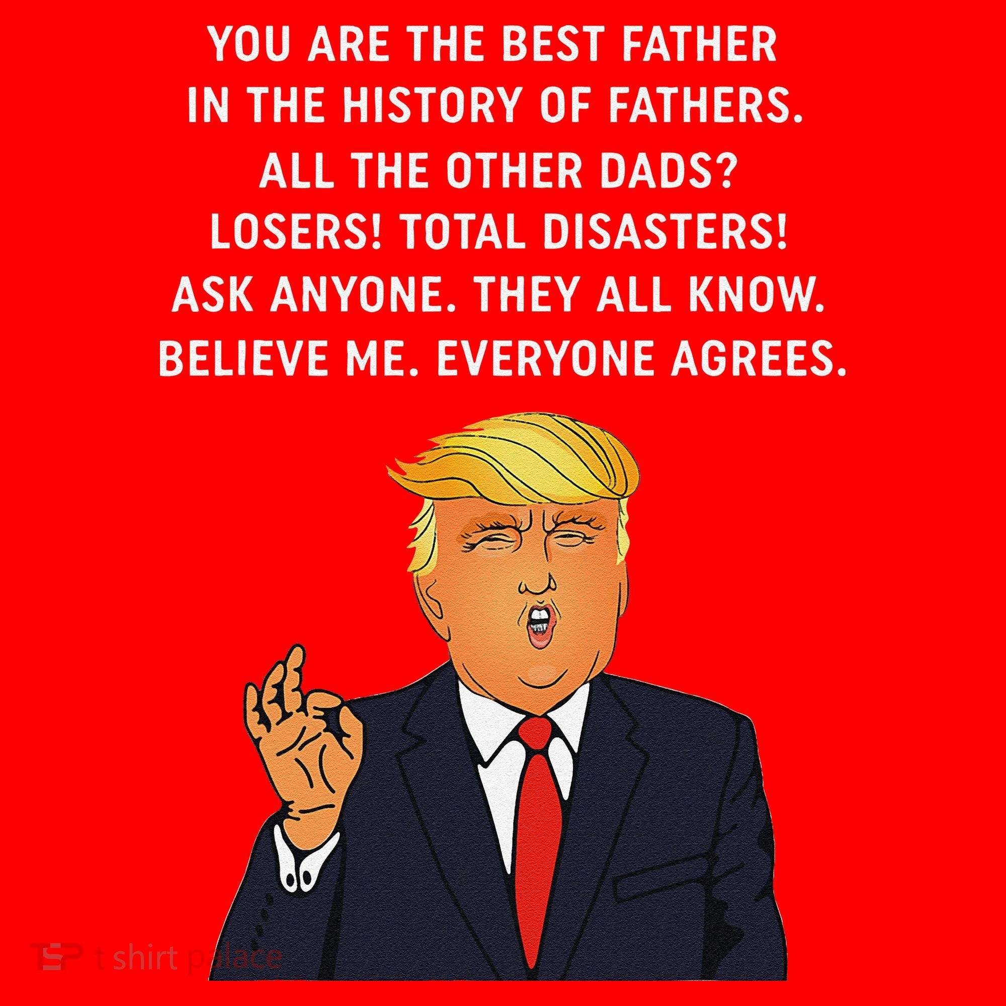 Funny Great Dad Donald Trump Fathers Day Gift Tee Santa Hat
