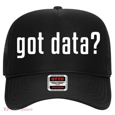 Funny Got Data MIS Data Systems Business Analyst Hat