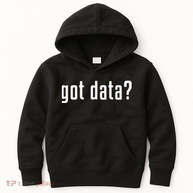 Funny Got Data MIS Data Systems Business Analyst Kids Hoodie