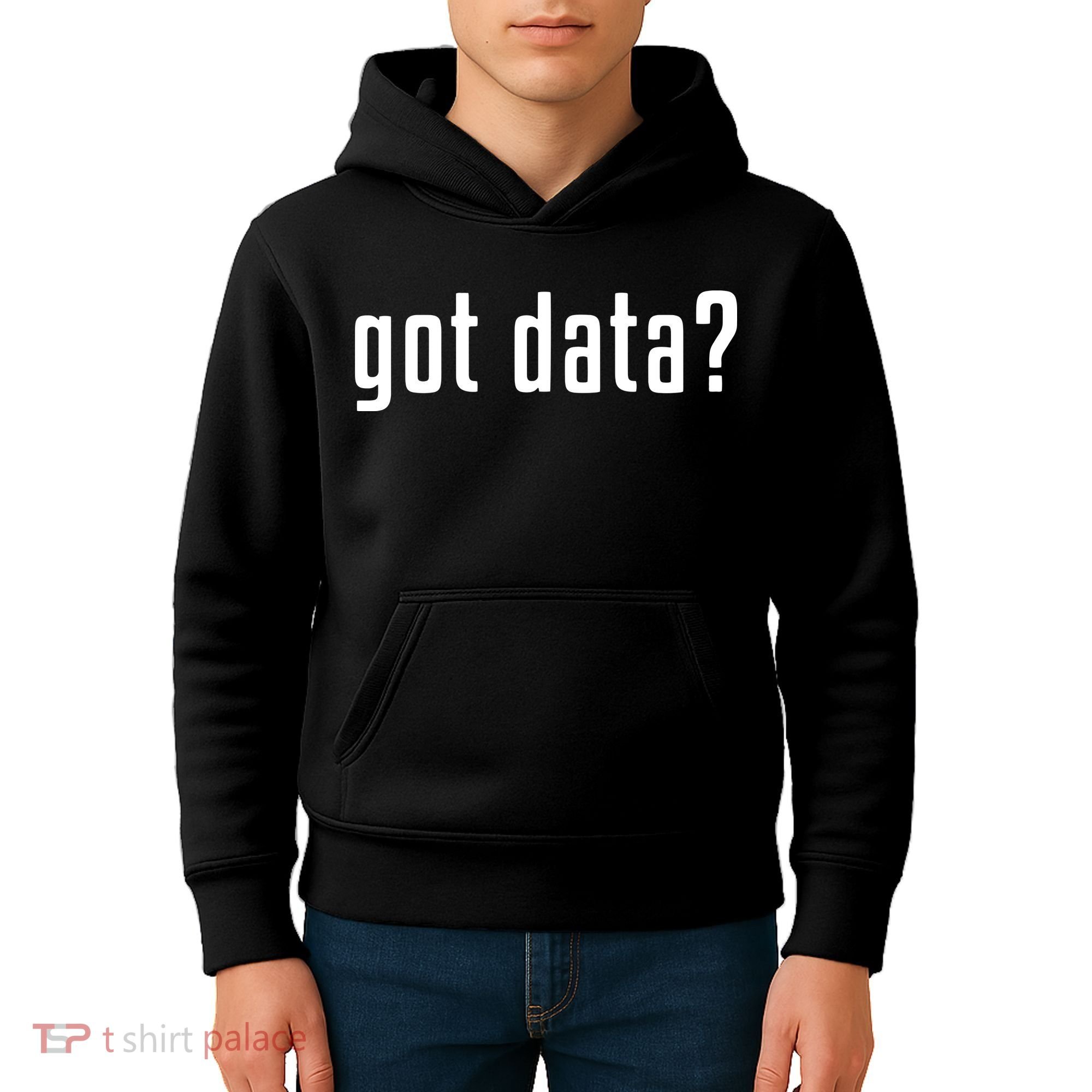 Funny Got Data MIS Data Systems Business Analyst Kids Hoodie