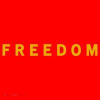 Freedom Gold Eddition Print Charlie Kirk Santa Hat thumb 1