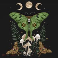 Fairy Grunge Fairycore Aesthetic Goth Luna Moth Mushroom Coaster thumb 2