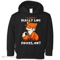 Foxes Gift For Fox Lovers I Just Really Like Foxes Ok Toddler Hoodie thumb 0