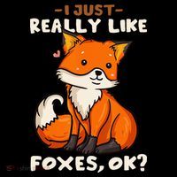 Foxes Gift For Fox Lovers I Just Really Like Foxes Ok Kids Hoodie thumb 5