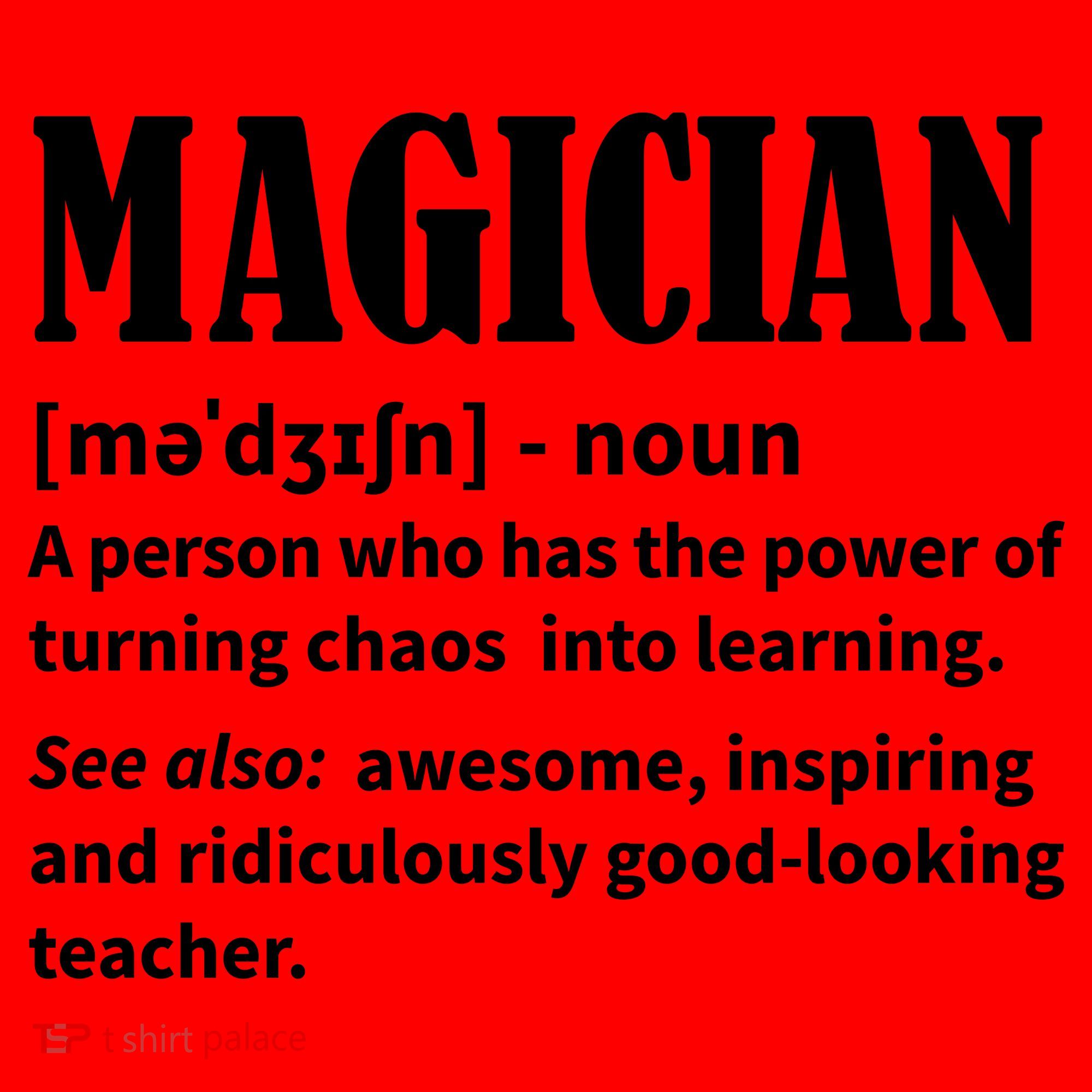 Funny Gift For Teachers Teaching, Teacher Definition  Santa Hat
