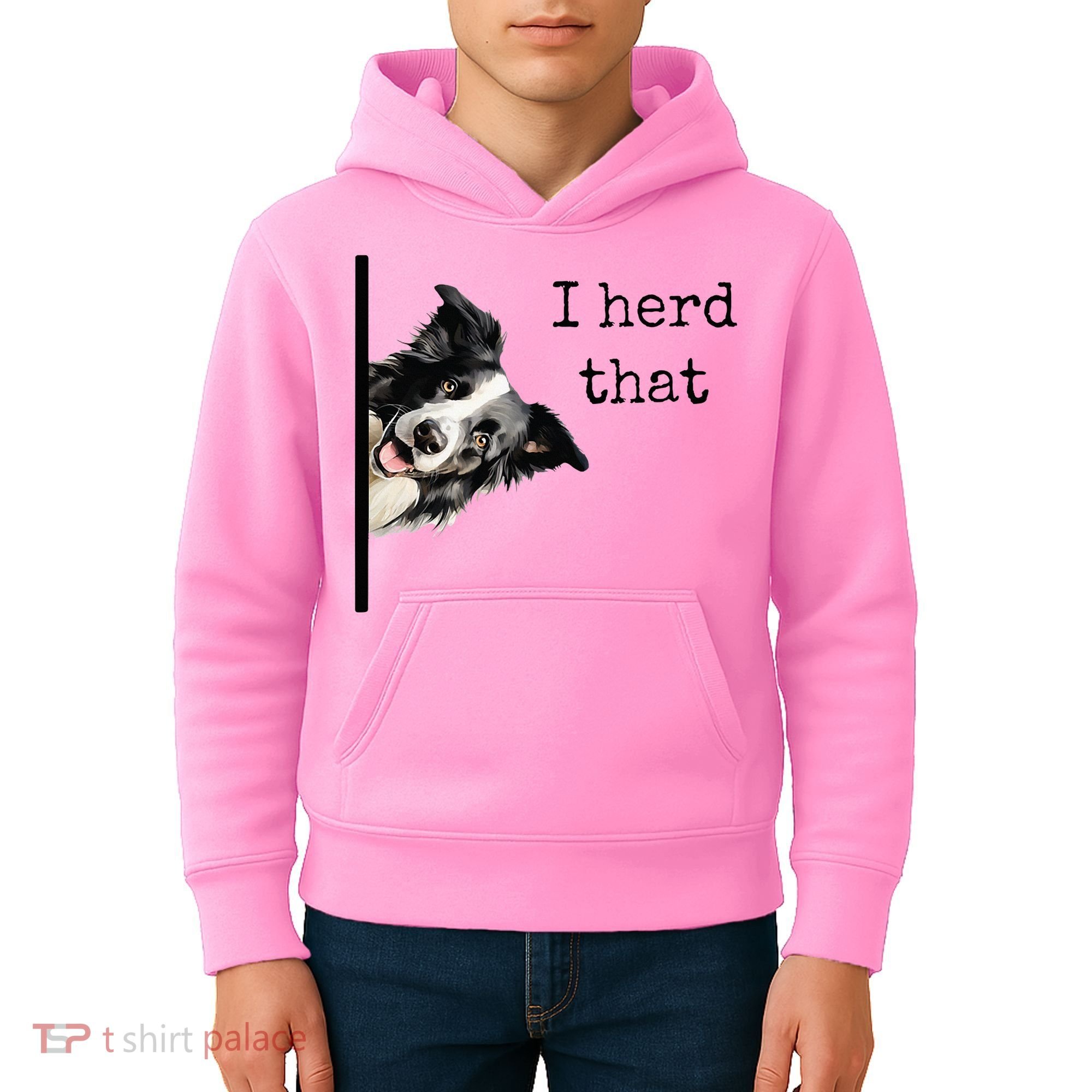 Funny Gifts For Border Collie Lovers Herd That Kids Hoodie