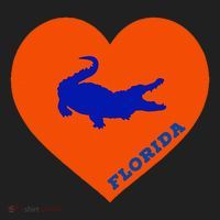 Florida Gator Heart Pillow Bag Tumbler thumb 3
