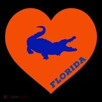 Florida Gator Heart Pillow Bag Toddler Hoodie thumb 2