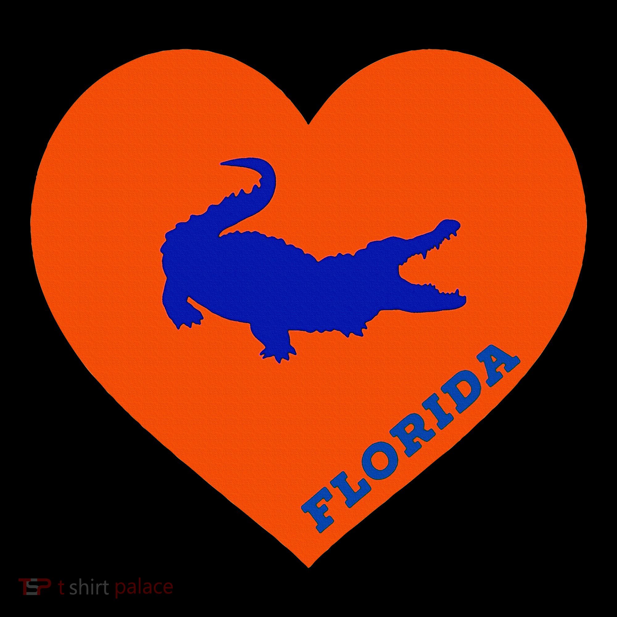 Florida Gator Heart Pillow Bag Toddler Hoodie