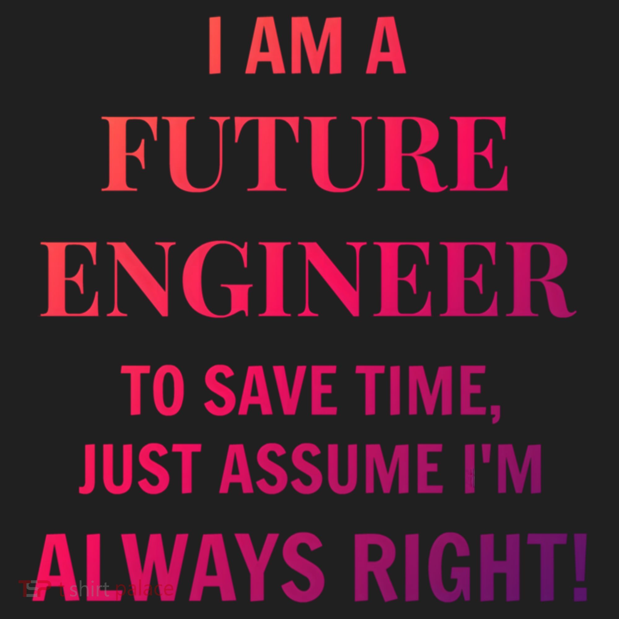 Funny Gift Idea Future Engineer Engineering Major Gift Beanie