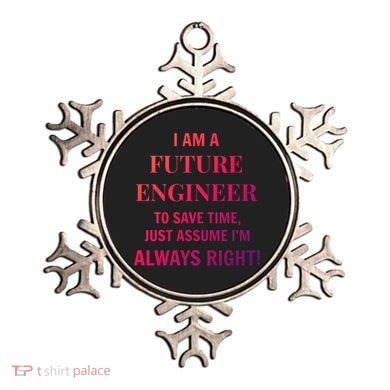 Funny Gift Idea Future Engineer Engineering Major Gift Ornament